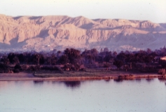 West Nile Delta - Egypt - 1978