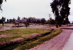 En route to Amse- High Atlas - Morocco - 1972